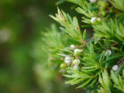 نمونه 1