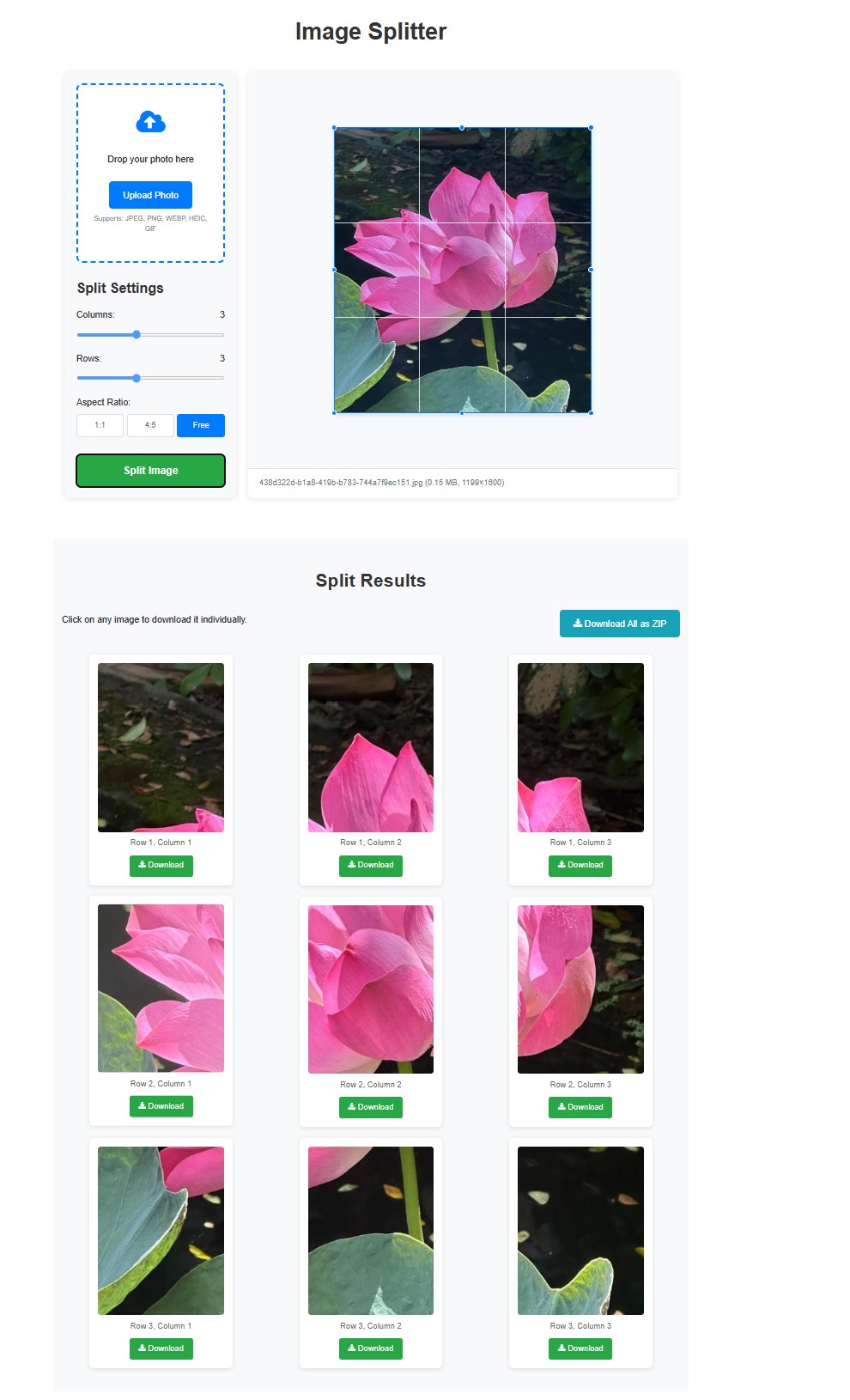 split image and review results