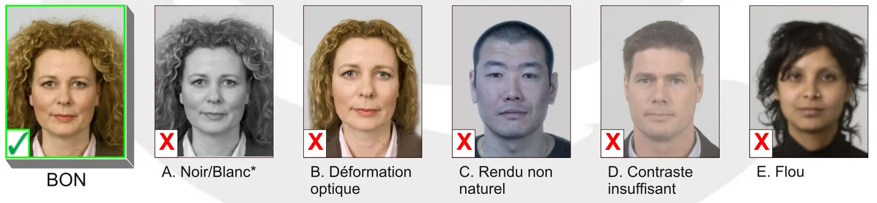 Belgium passport photo