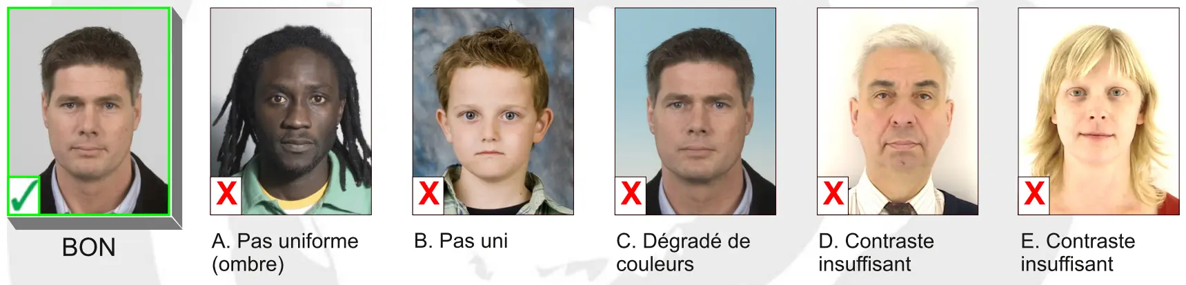 Belgium passport photo