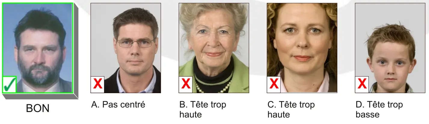 Belgium passport photo