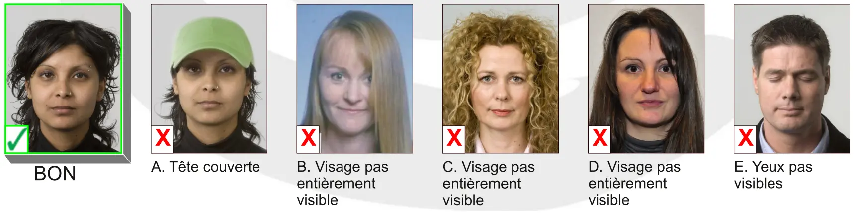 Belgium passport photo
