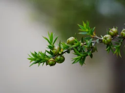 نمونہ 2